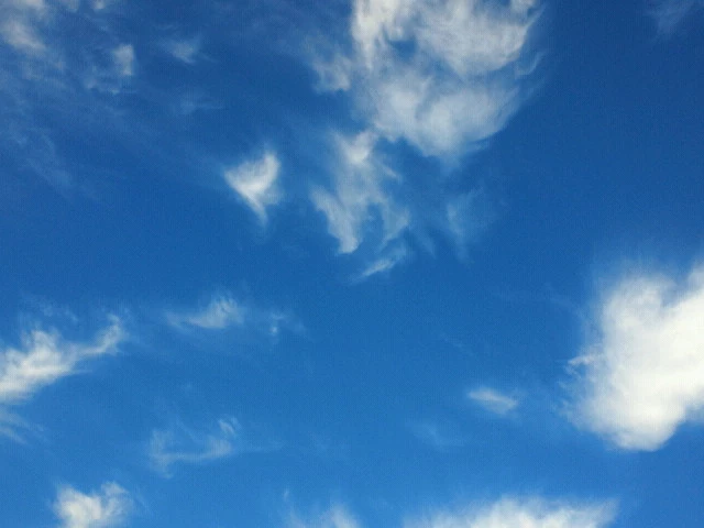 梨花
