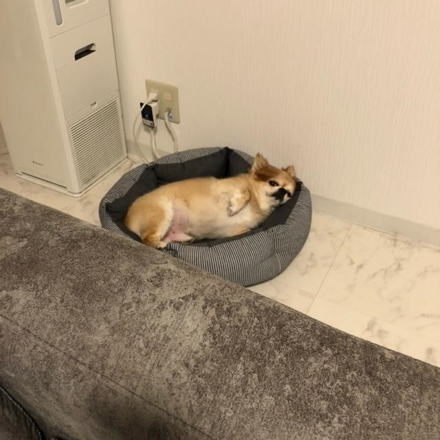 片桐 さやか