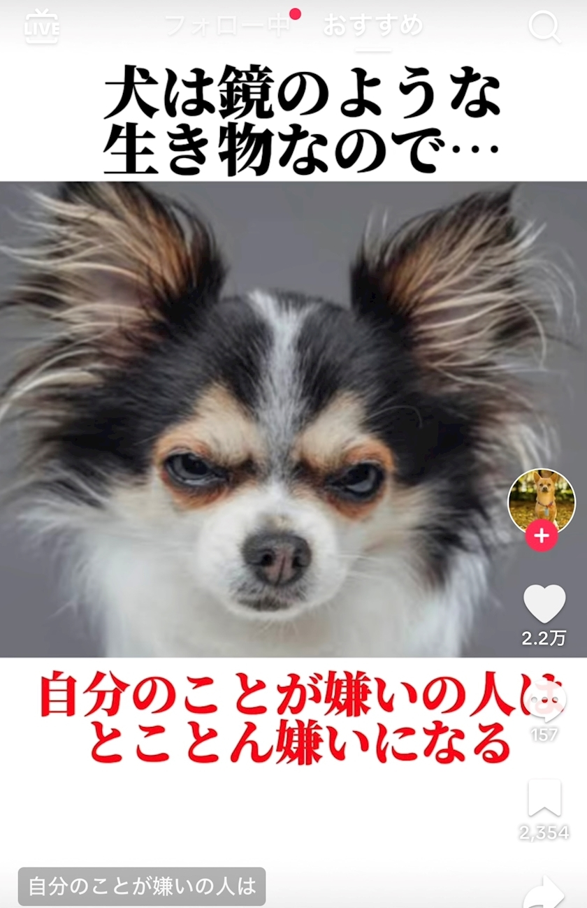 佐倉 里緒