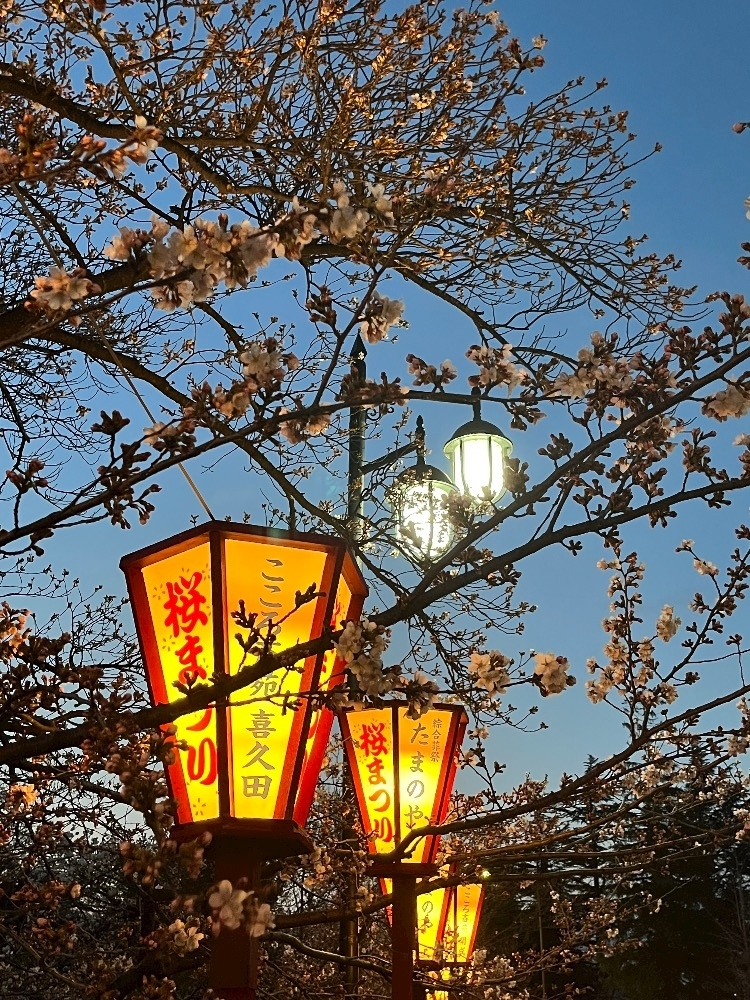 なぎ