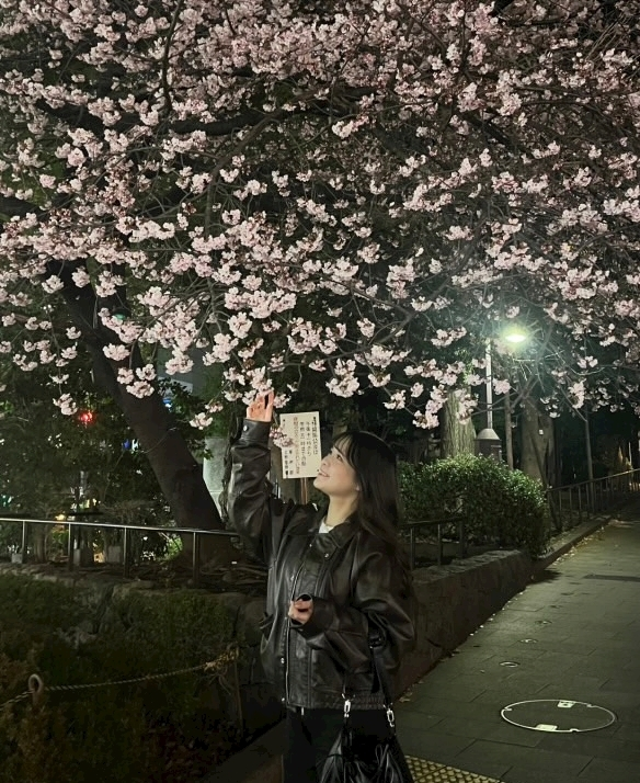 みーたん