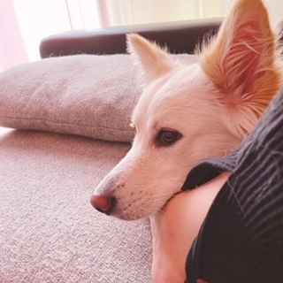 京 さゆみ
