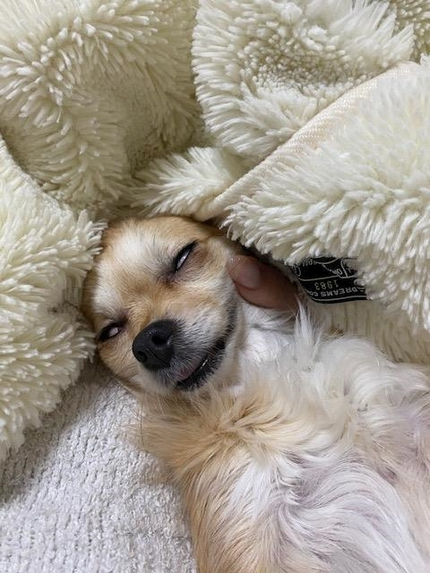 七瀬 みずき