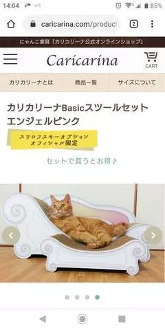 ひな