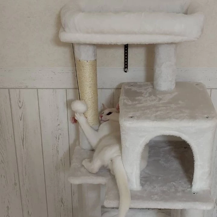 きらり