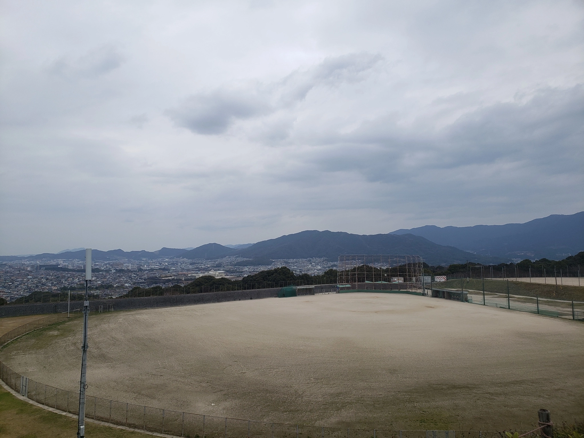 ひな