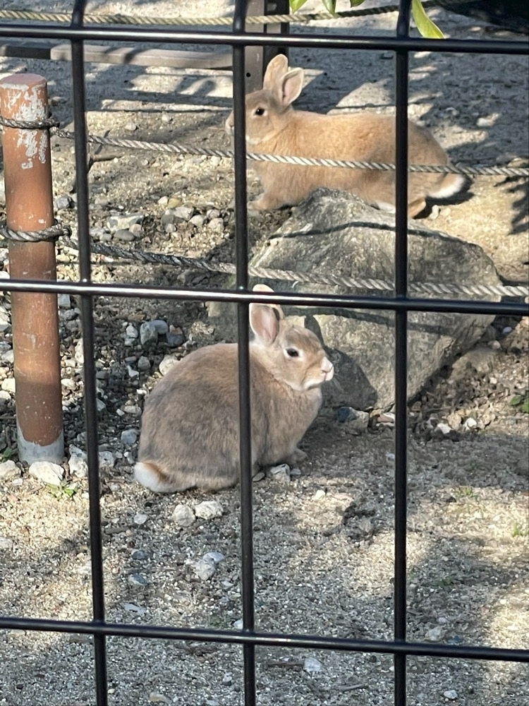 ナオ