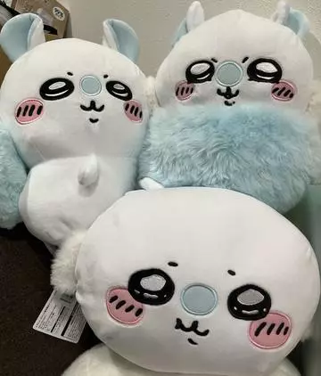 七星 夏純