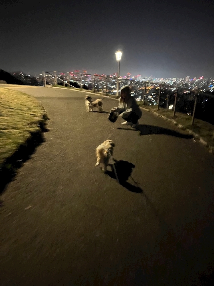 芹沢 莉瀬