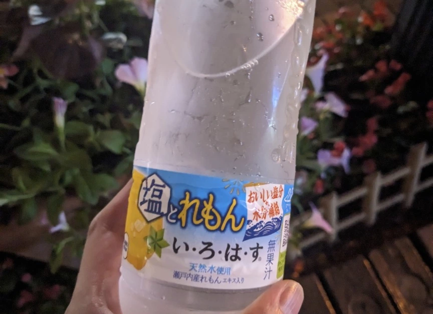 五条 椿