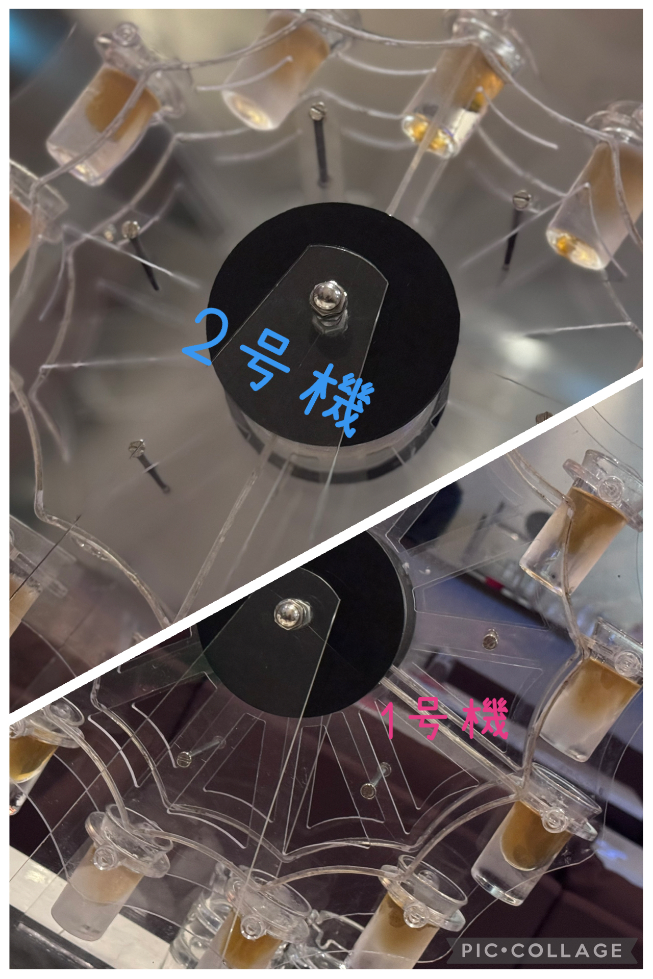 えり