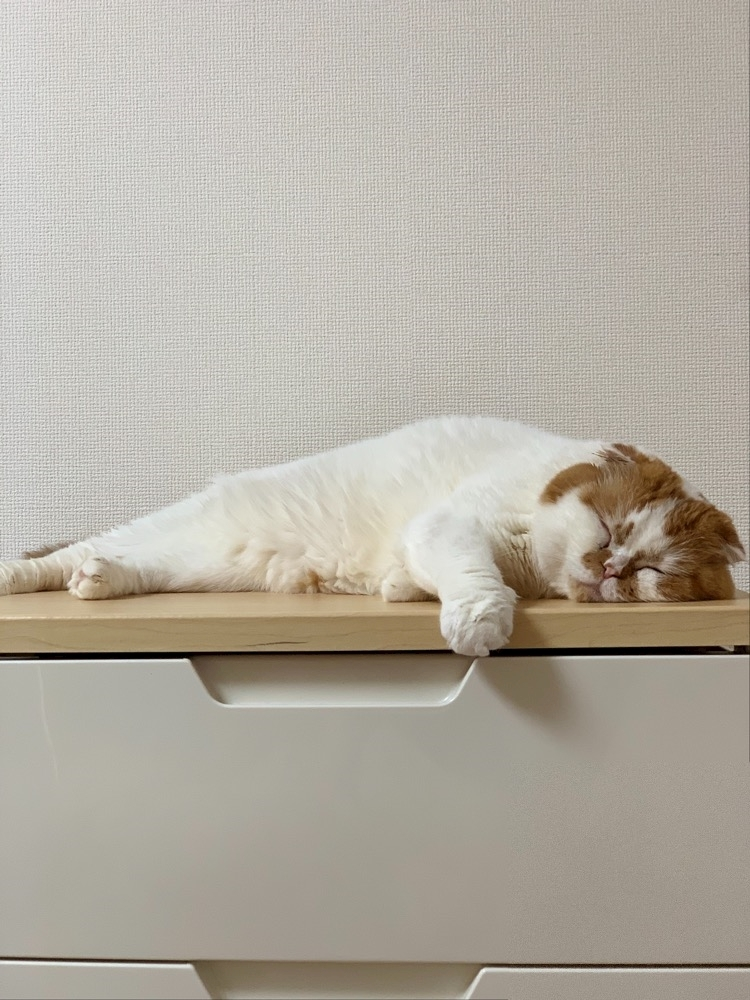 れみ