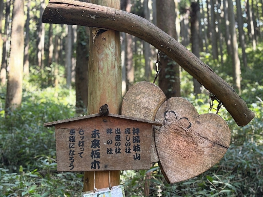 椿