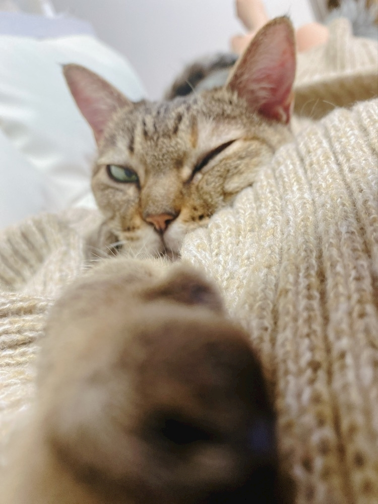 華宮 れい