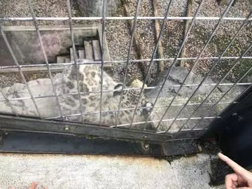 長瀬 純恋
