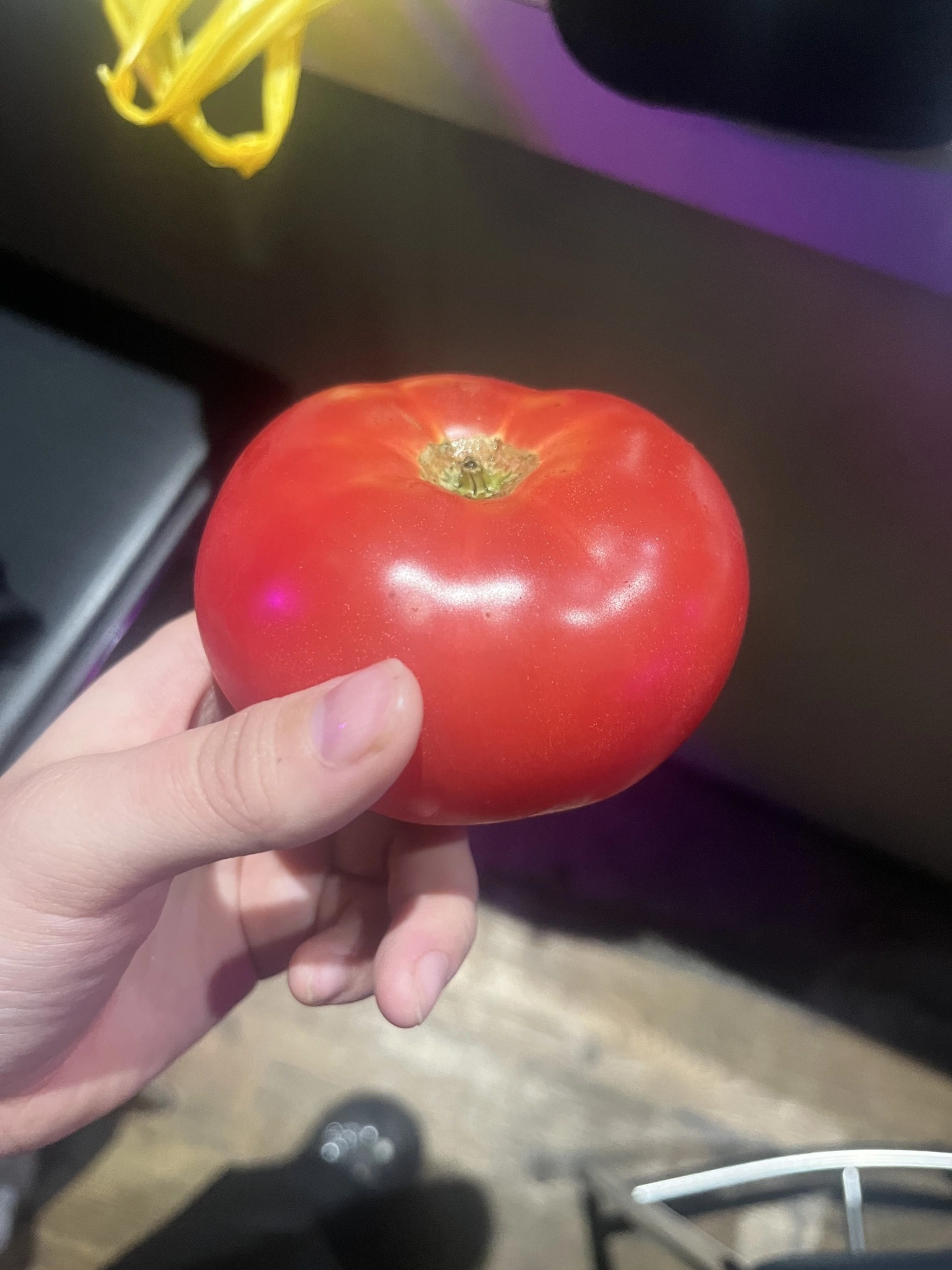 大尻 桃