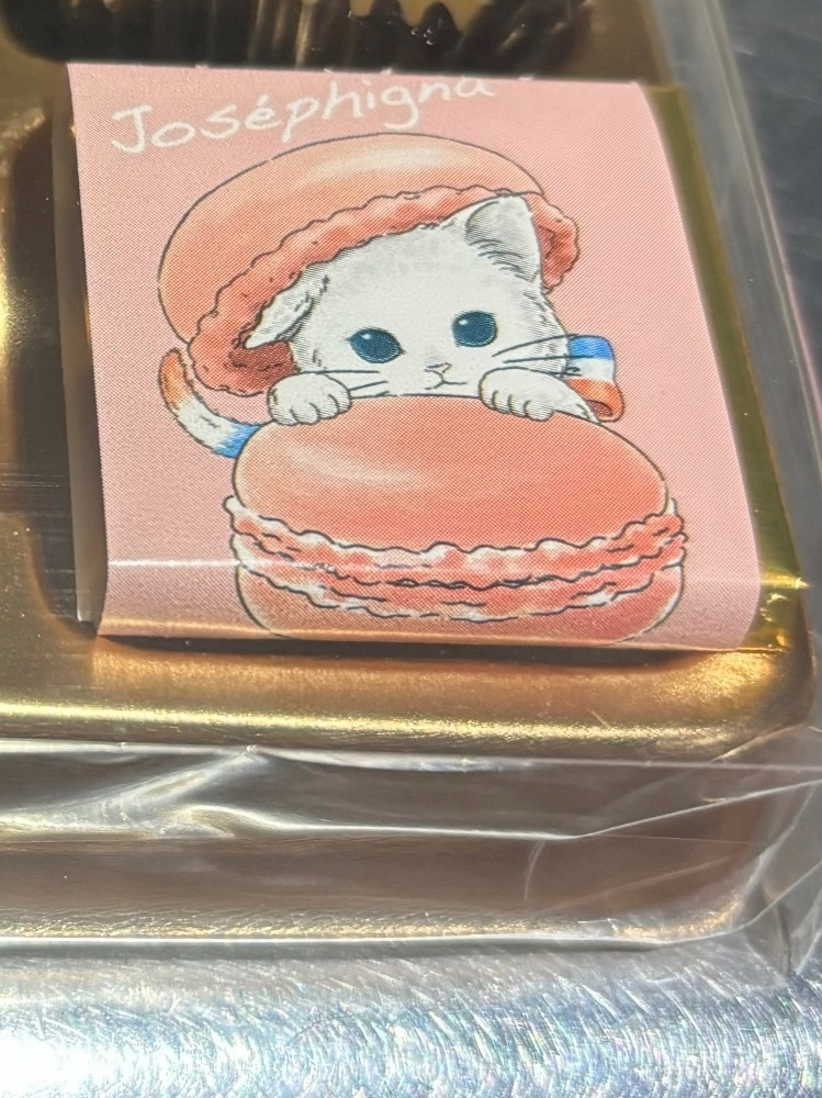 きらり