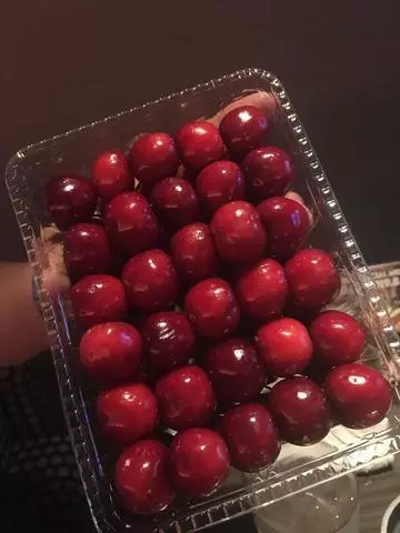 白石 愛莉