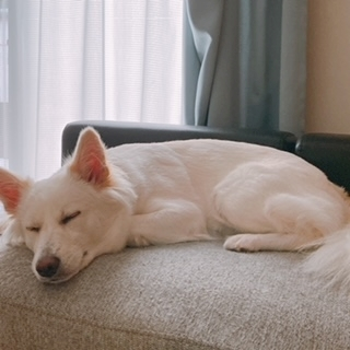 京 さゆみ