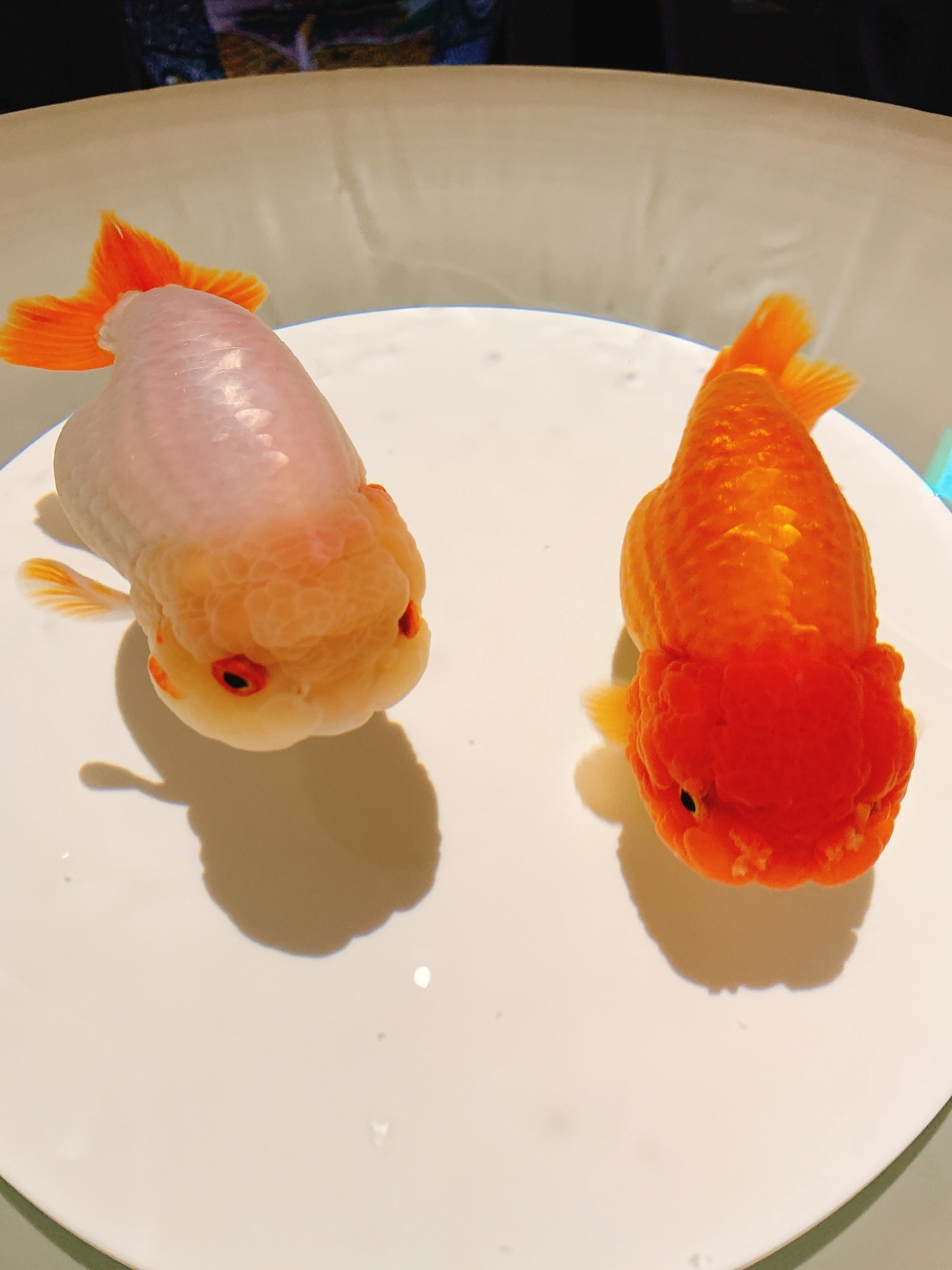 林檎