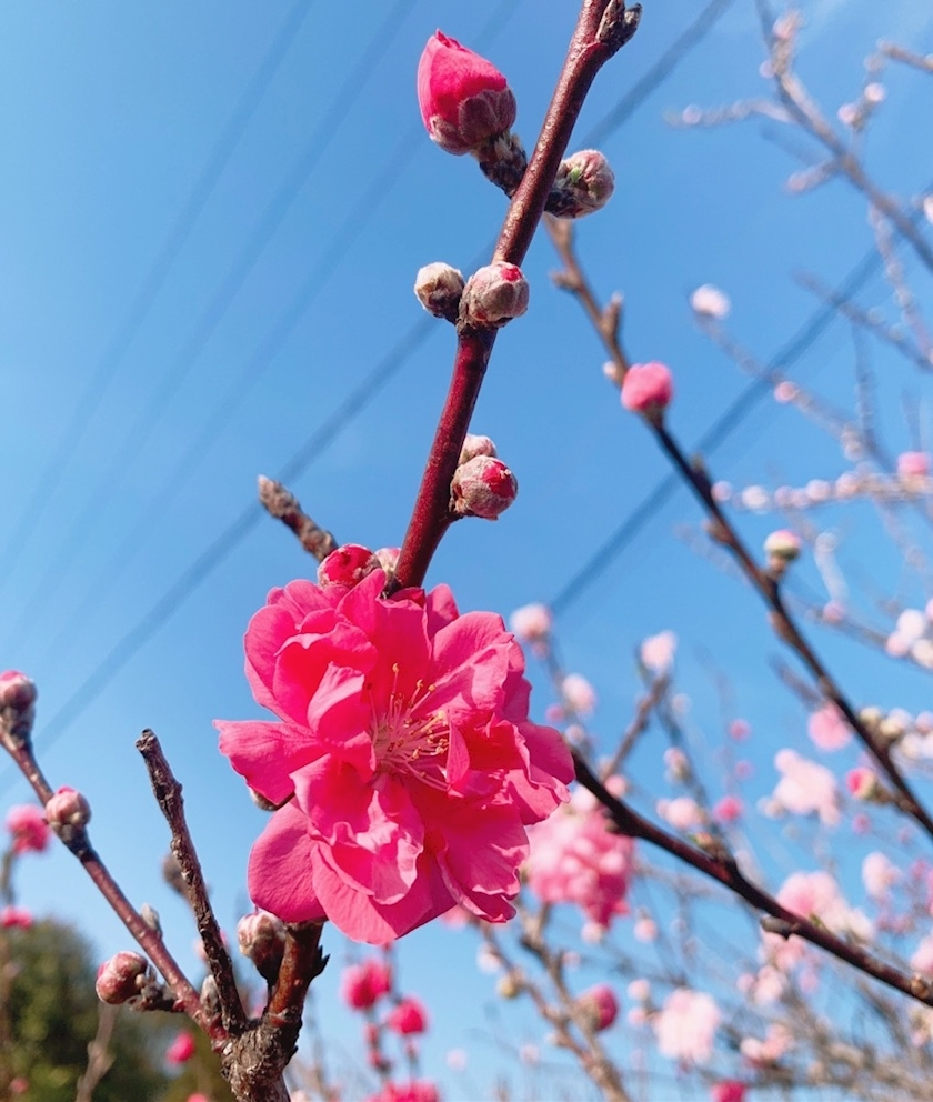 りょう