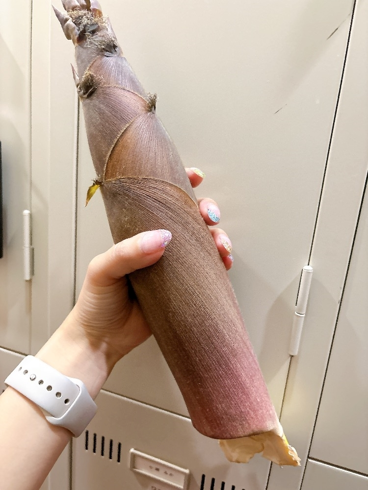 妃 りり