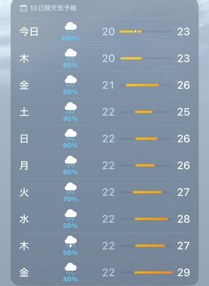 蕾夢