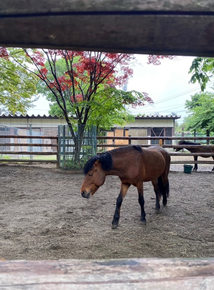七瀬 なな