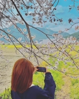 ゆかり