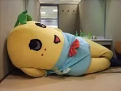桃瀬 百華