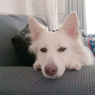 京 さゆみ