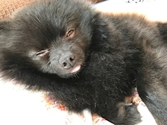 ティナ