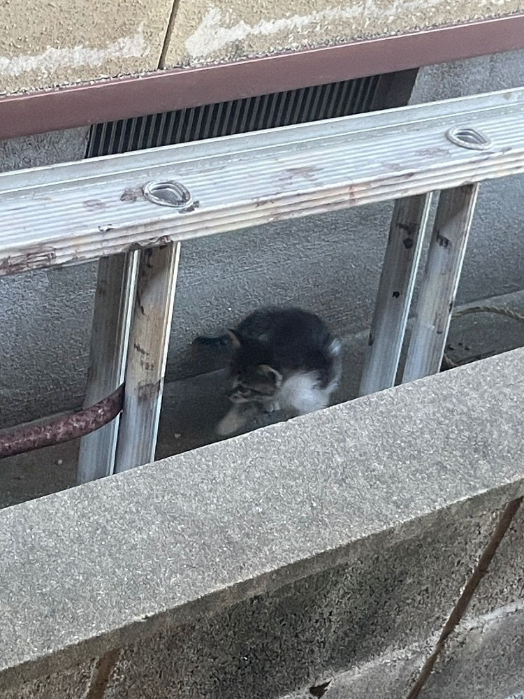 みぃな
