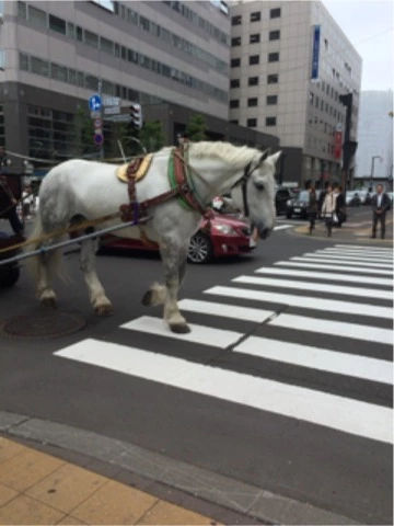 蓮見 リア