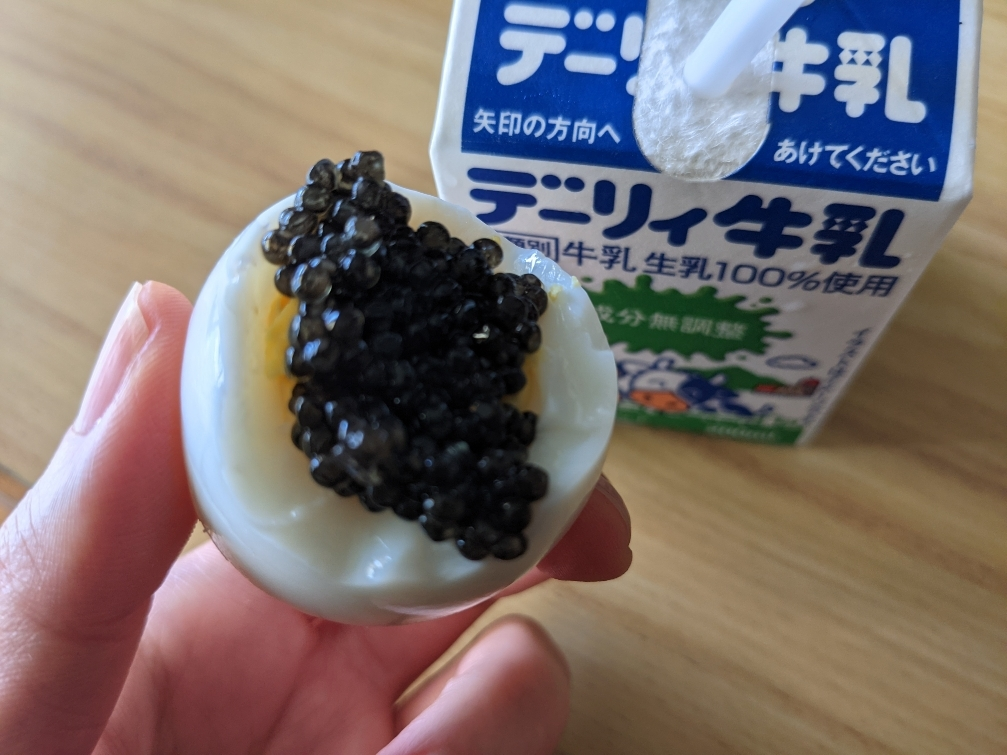 五条 椿