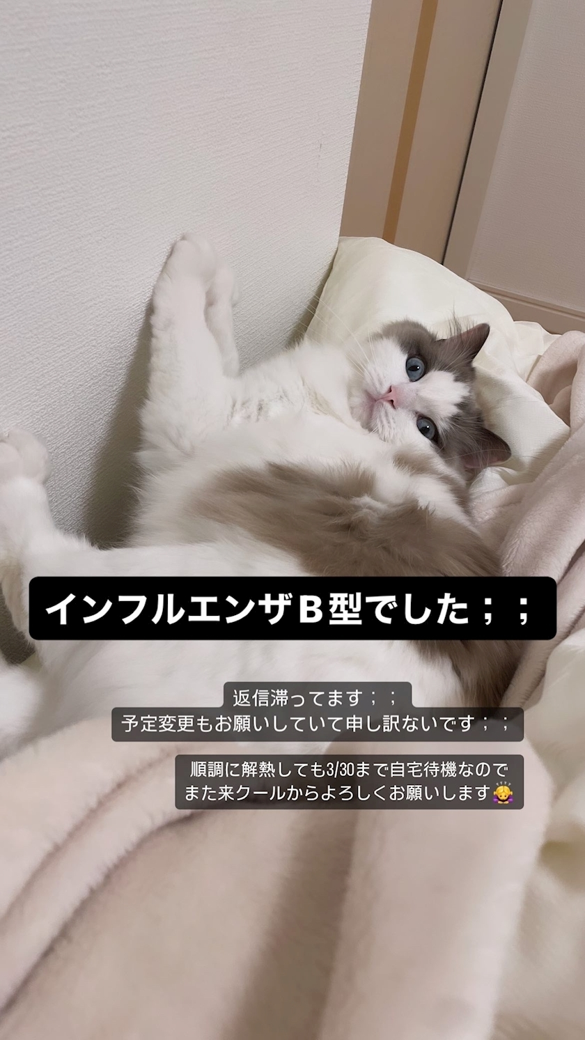 辻 みなみ