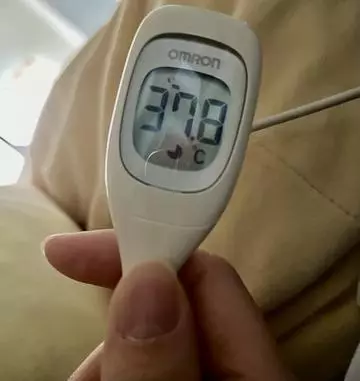 七星 夏純