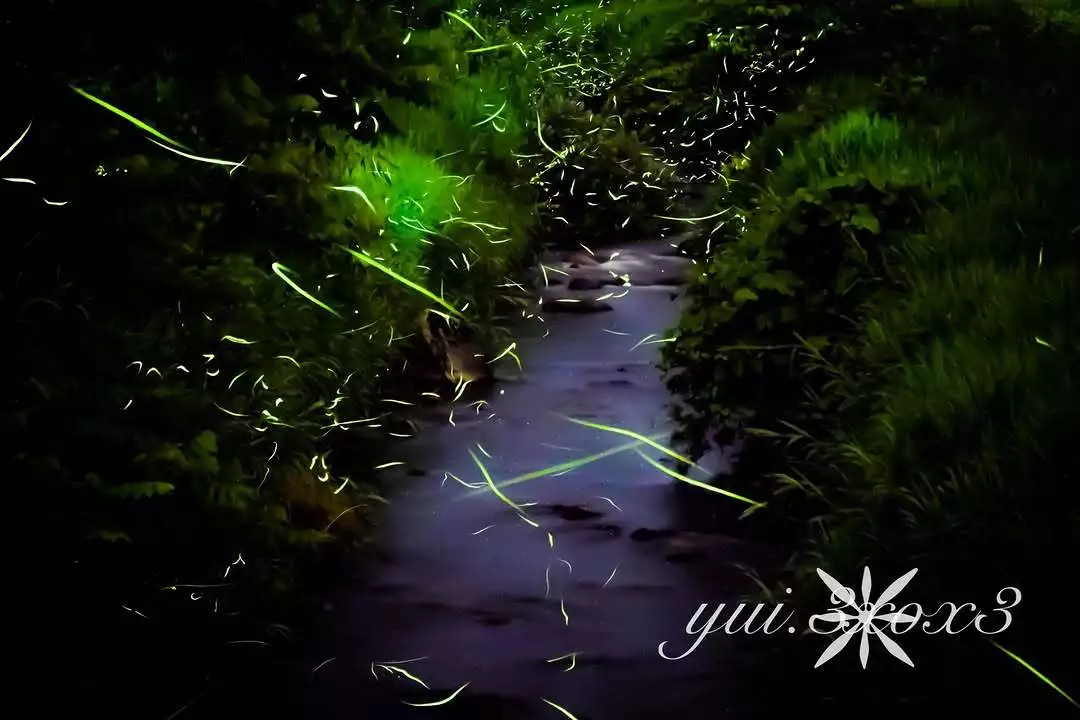 神崎　唯