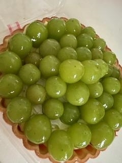 桐島 りゅう