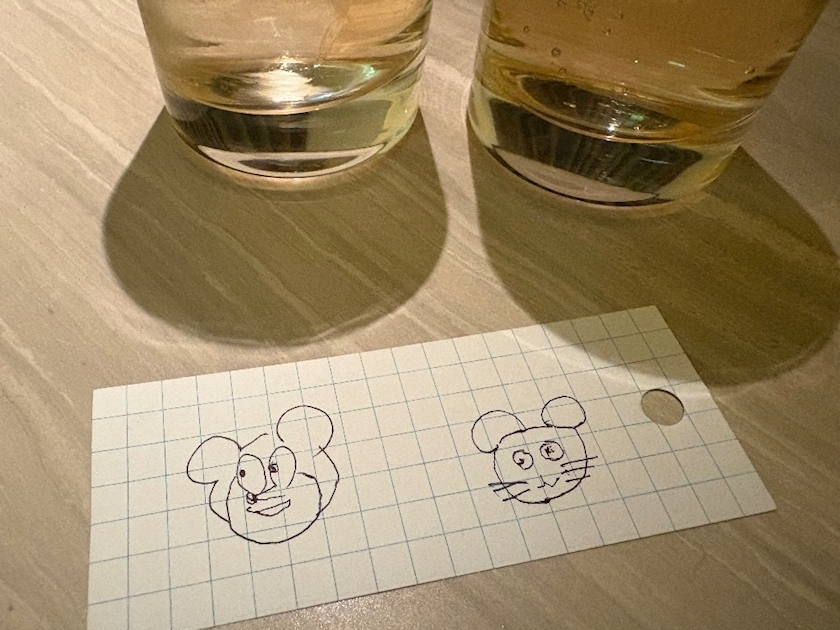 湊崎 さな