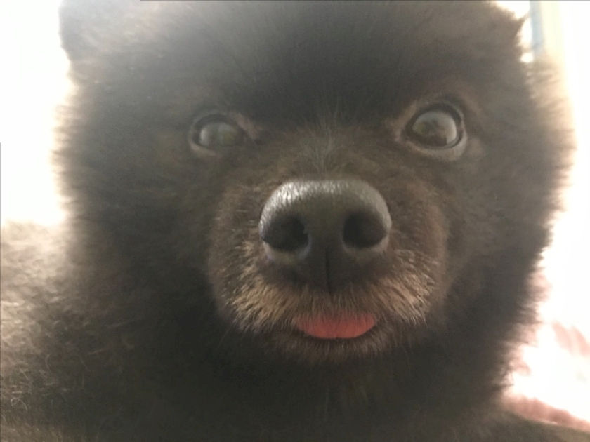 ティナ