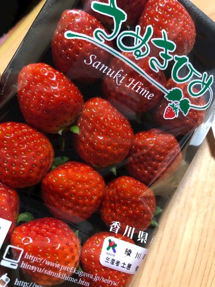 香川 ゆい
