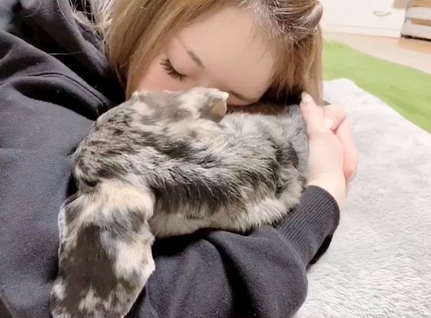 紗貴