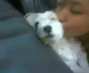 ♡あき♡