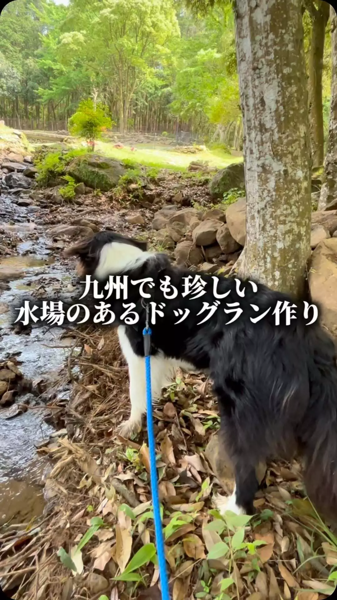 みこ