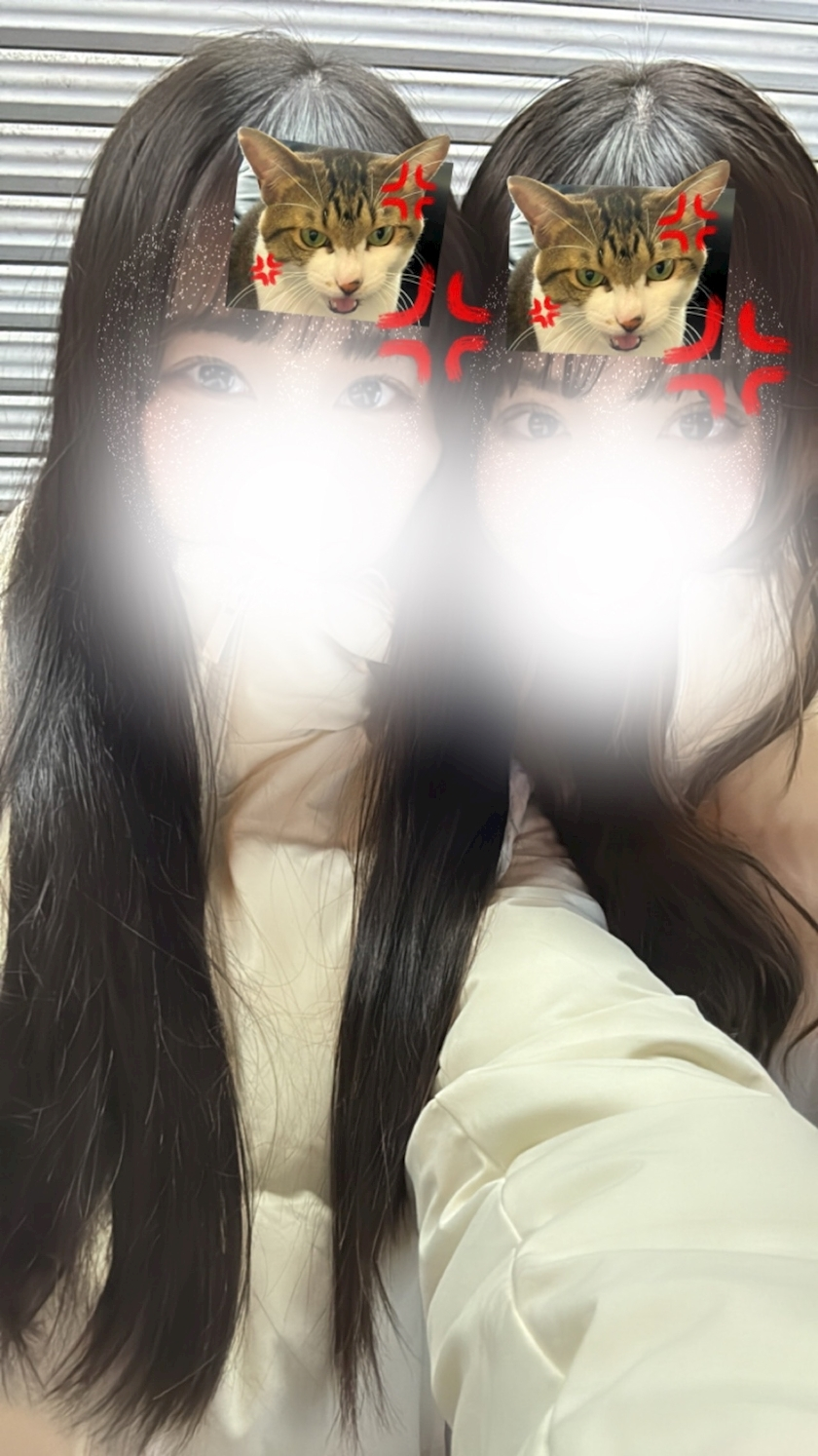 みみ