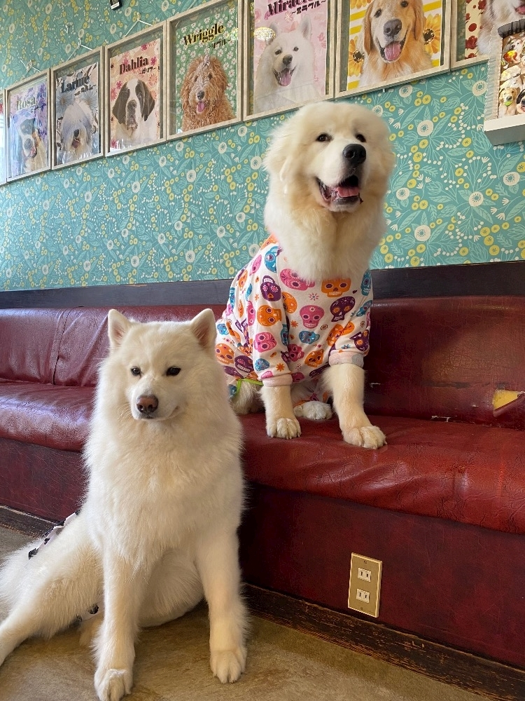あーだこーだそら