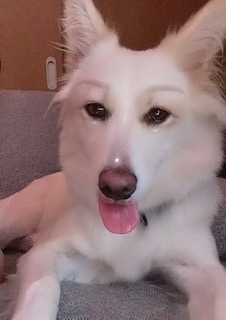 京 さゆみ