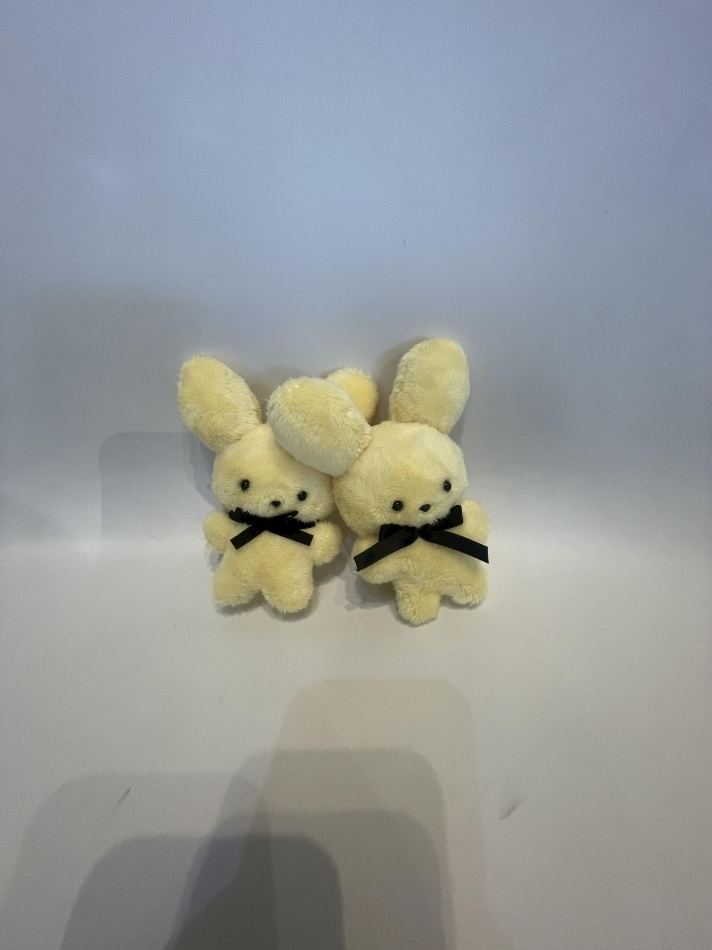 あやの