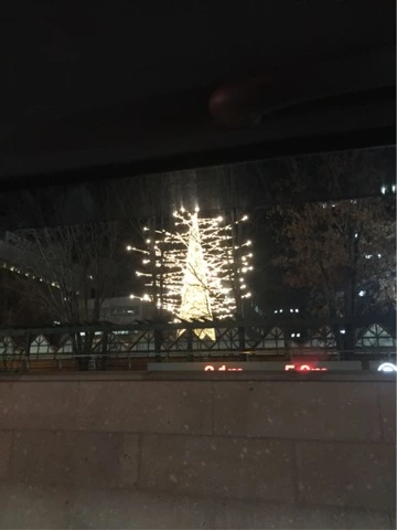 蓮見 リア